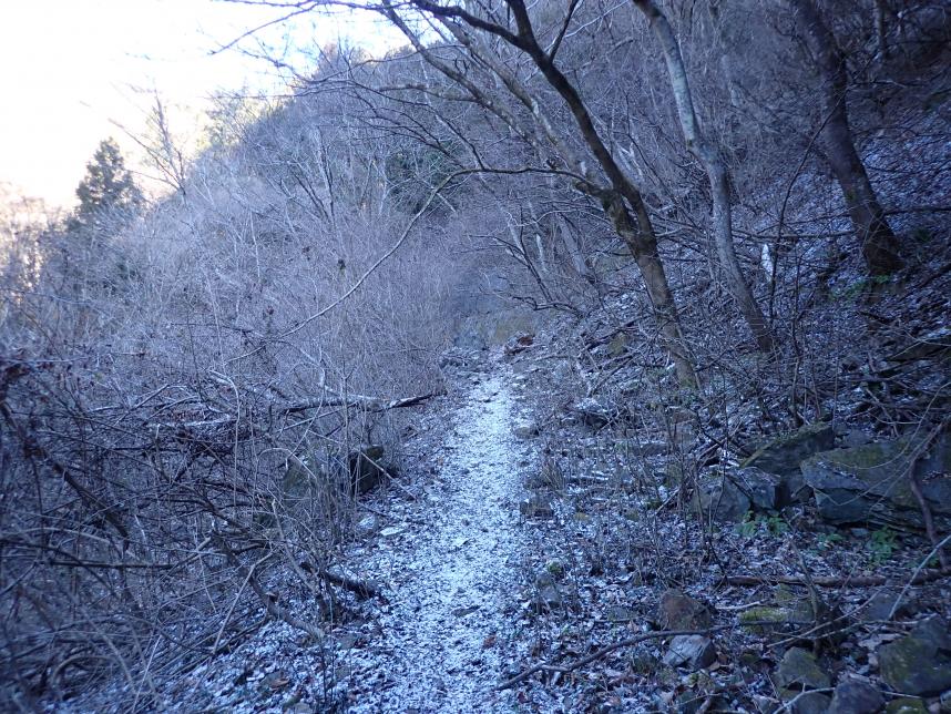 1月14日醍醐峠