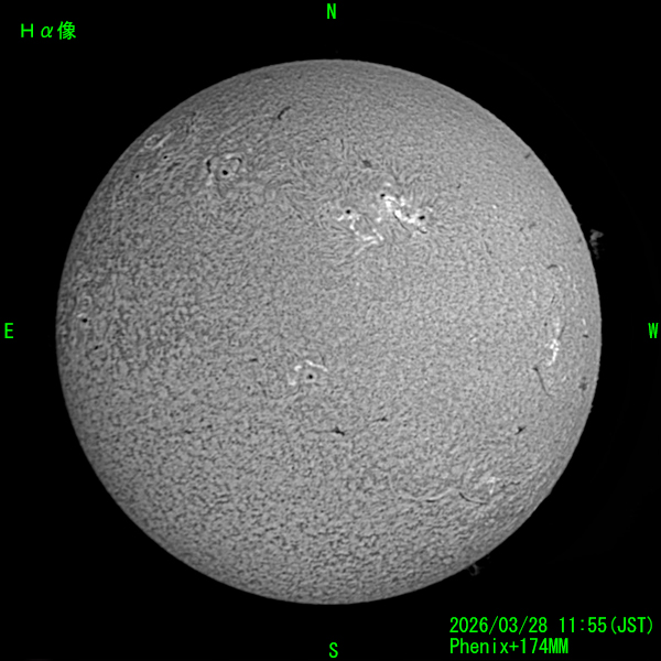 2026年3月28日のHα線太陽像