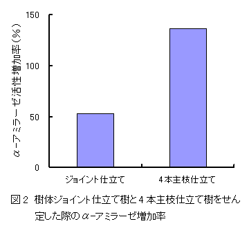 図2　樹体ジョイント仕立て樹と4本主枝仕立て樹をせん定した際のα-アミラーゼ増加率