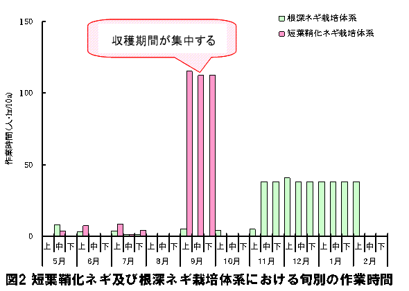 短葉鞘化ネギ及び根深ネギ栽培体系における旬別の作業時間