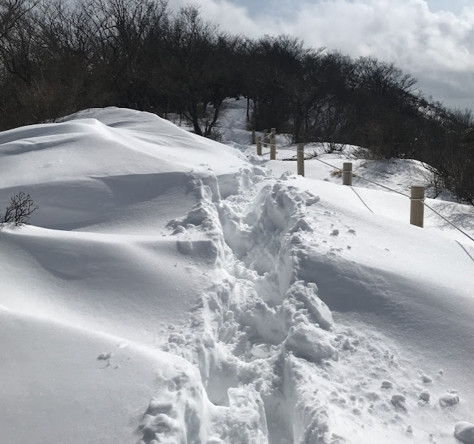 2月15日三ノ塔