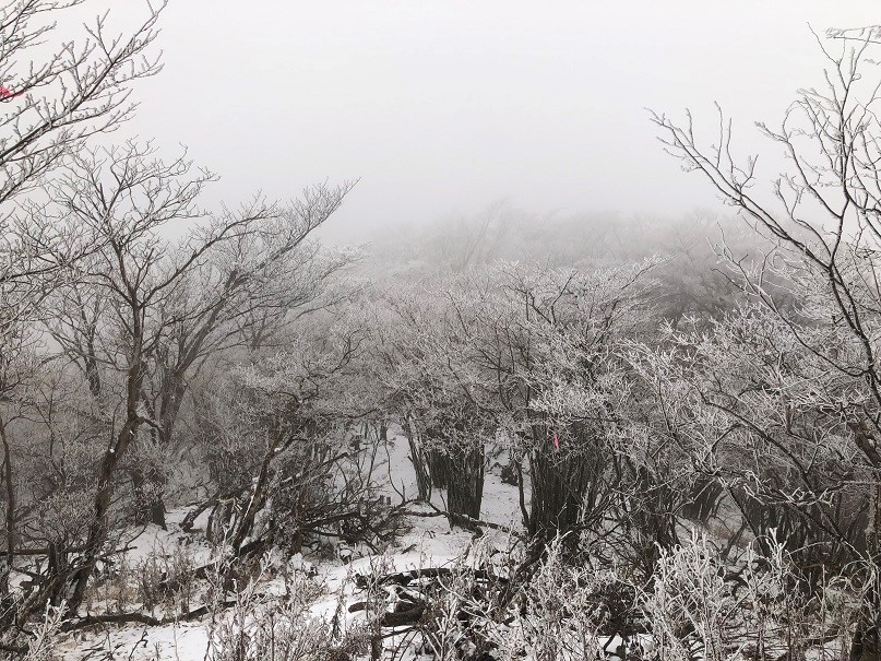 220308大山山頂付近