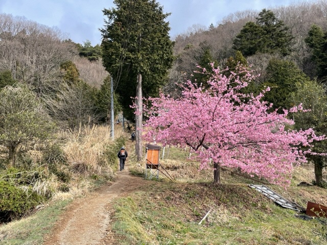 220321栃谷尾根登山口