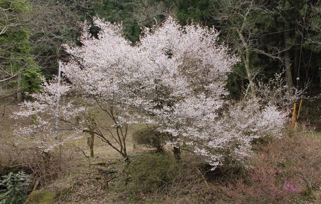 220406石砂山登山口