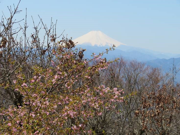 220408陣馬山山頂