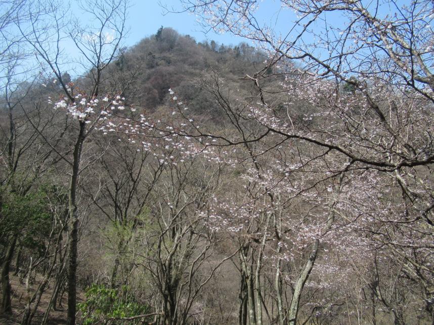 220410大山三峰