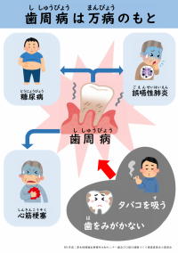 歯周病は万病のもと