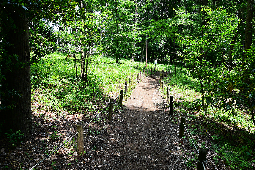 相模原北公園郷土の森