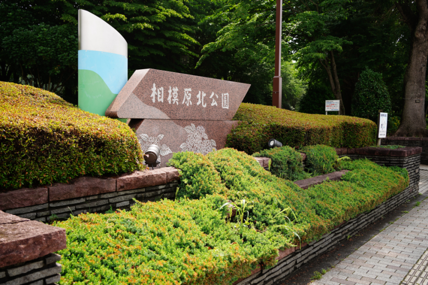 相模原北公園メイン画像