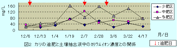 窒素の追肥と土壌のカリ濃度