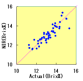 図5　近赤外分析方法による湘南ゴールドの糖度予測