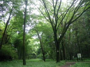 東高根森林公園散策