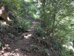 津久井湖城山公園園路