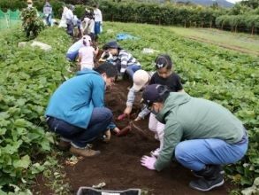 秦野戸川公園農業体験