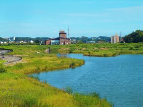 境川遊水地公園ビオトープ