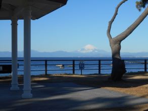 葉山公園富士山