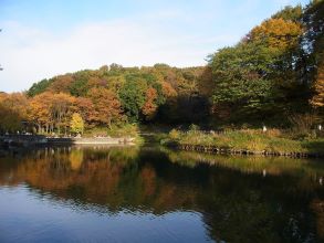 四季の森公園紅葉