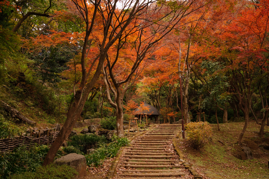 晩秋の寸草亭