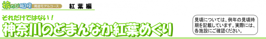 相模原・愛川周辺の紅葉