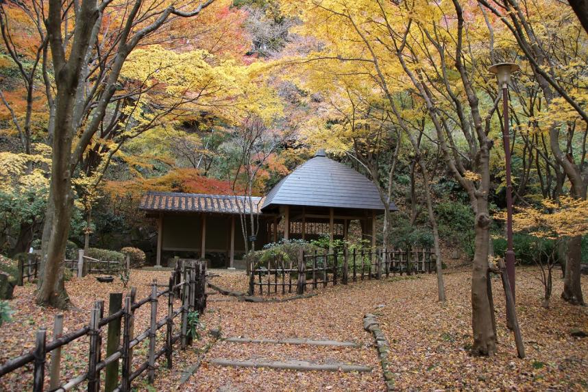 県立七沢森林公園-寸草亭