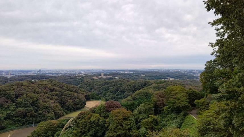 展望台から見た風景の写真