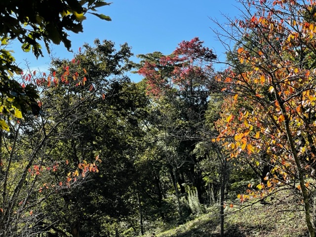 10月2日陣馬山山頂