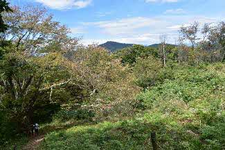 10月4日陣馬山山頂