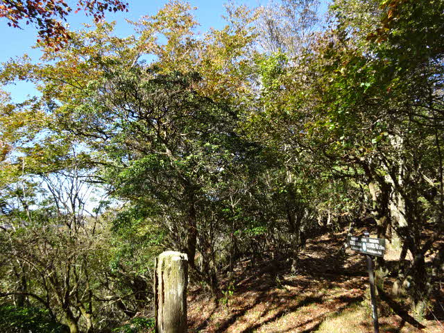 10月20日大界木山山頂