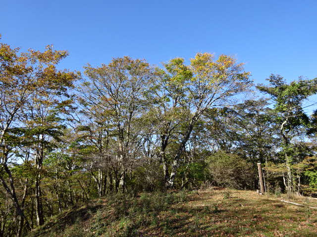 10月20日城ヶ尾峠