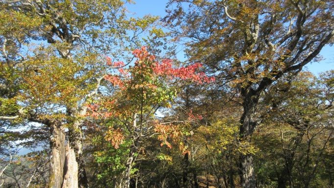 221020菰釣山山頂