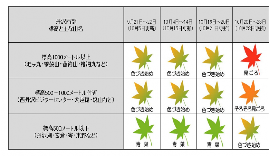 221028紅葉表丹沢西部