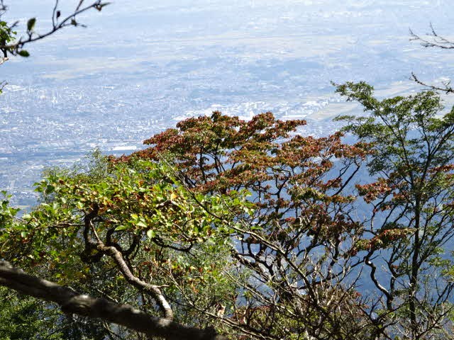 220930大山山頂周辺