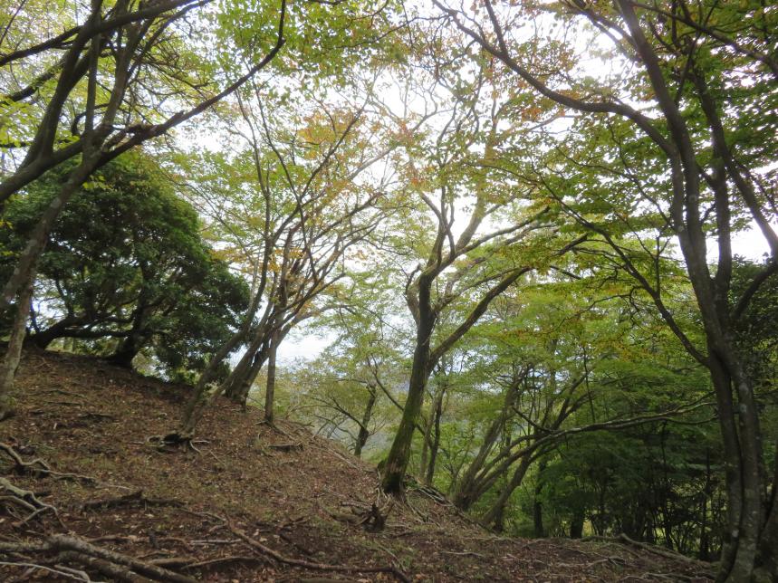 10月19日唐沢峠