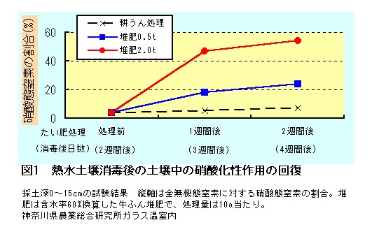 硝酸化成作用の変化