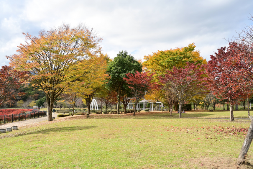 鳥居原湖畔園地_秋の景色