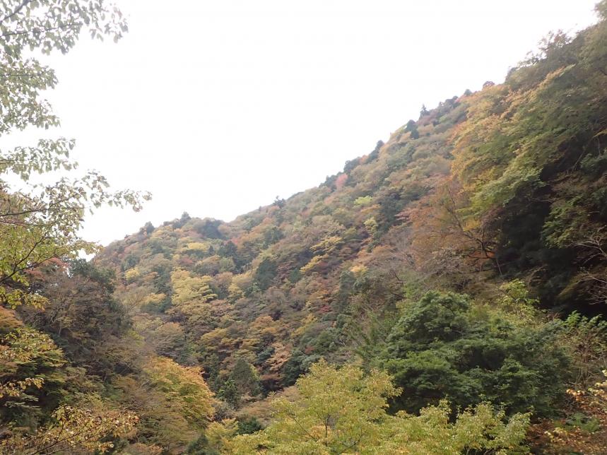 11月1日塩水橋