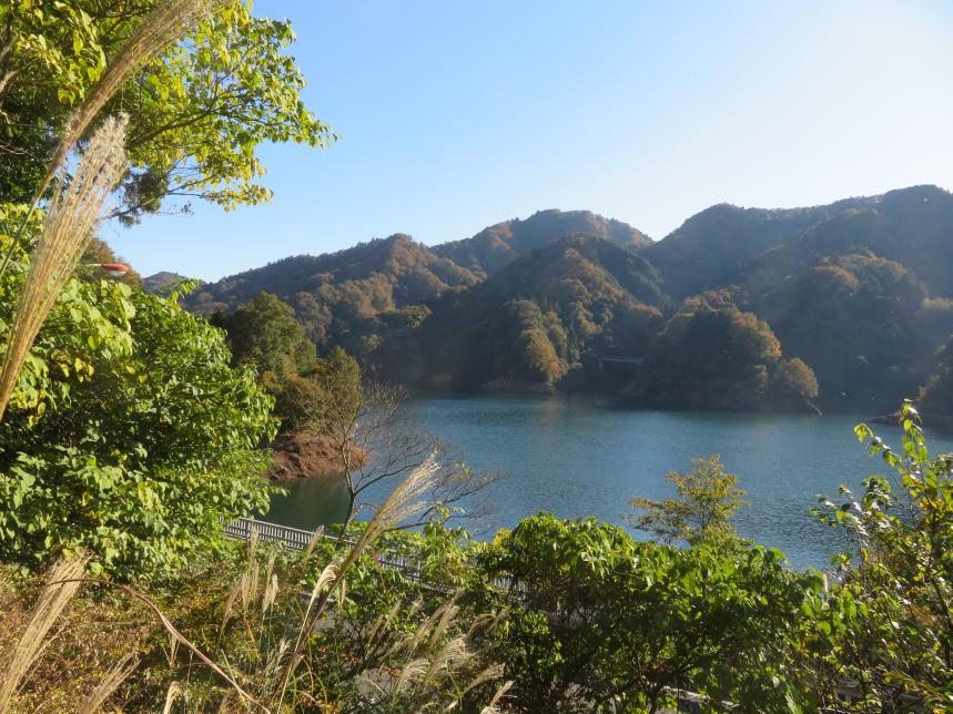 11月3日宮ケ瀬湖周辺