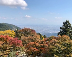 11月12日大山阿夫利神社下社