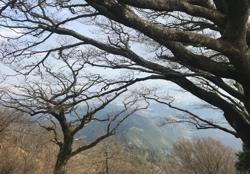 11月12日大山山頂