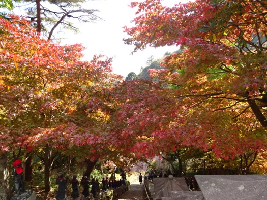 11月12日大山寺