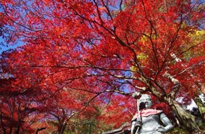 11月25日大山寺