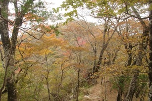 10月29日畦ヶ丸山頂周辺