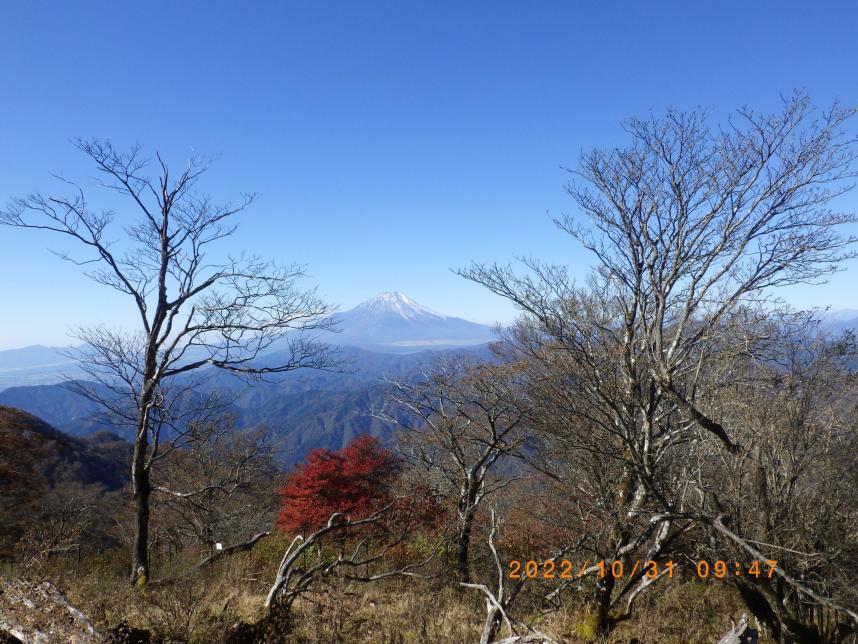 10月31日檜洞丸山頂