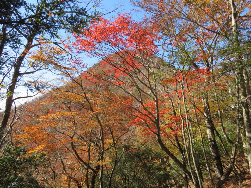 11月2日畦ヶ丸