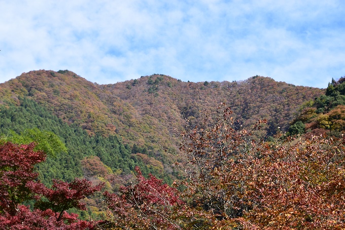 11月10日生藤山方向