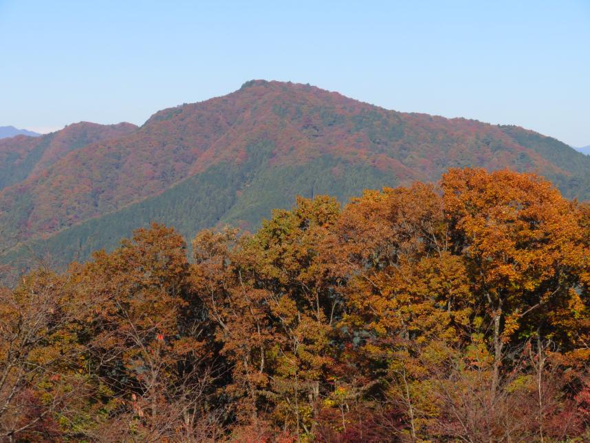 11月4日陣馬山から生藤山方向