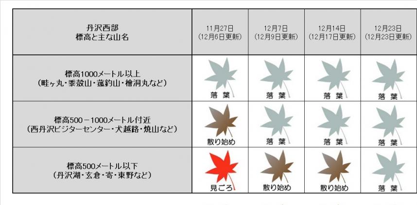 12月23日西丹沢の紅葉表