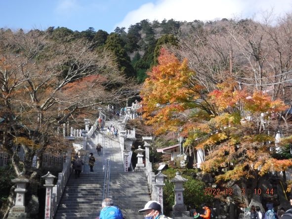 12月3日阿夫利神社下社