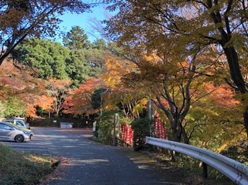 12月12日日向薬師側登山口