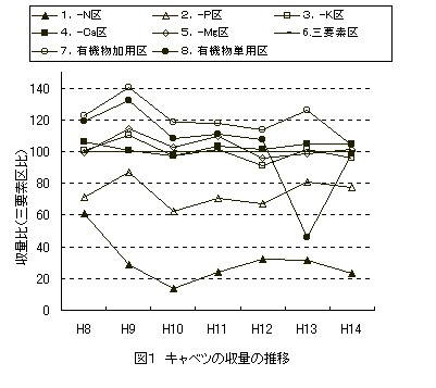 図1　キャベツ収量の推移